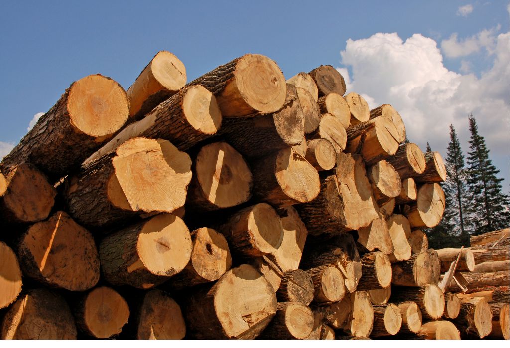 logs